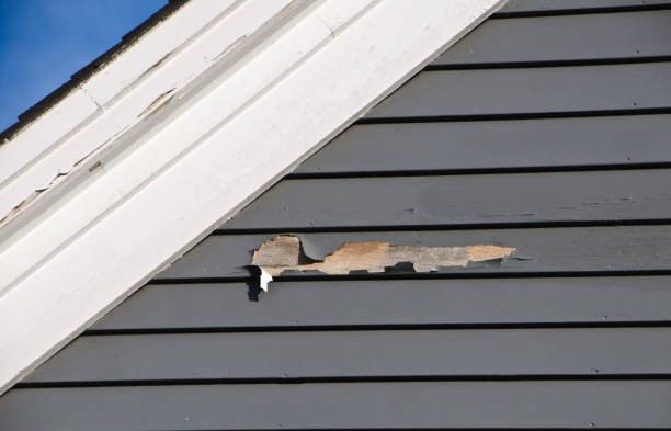 Best Hoarding Cleanup  in Villa Hills, KY